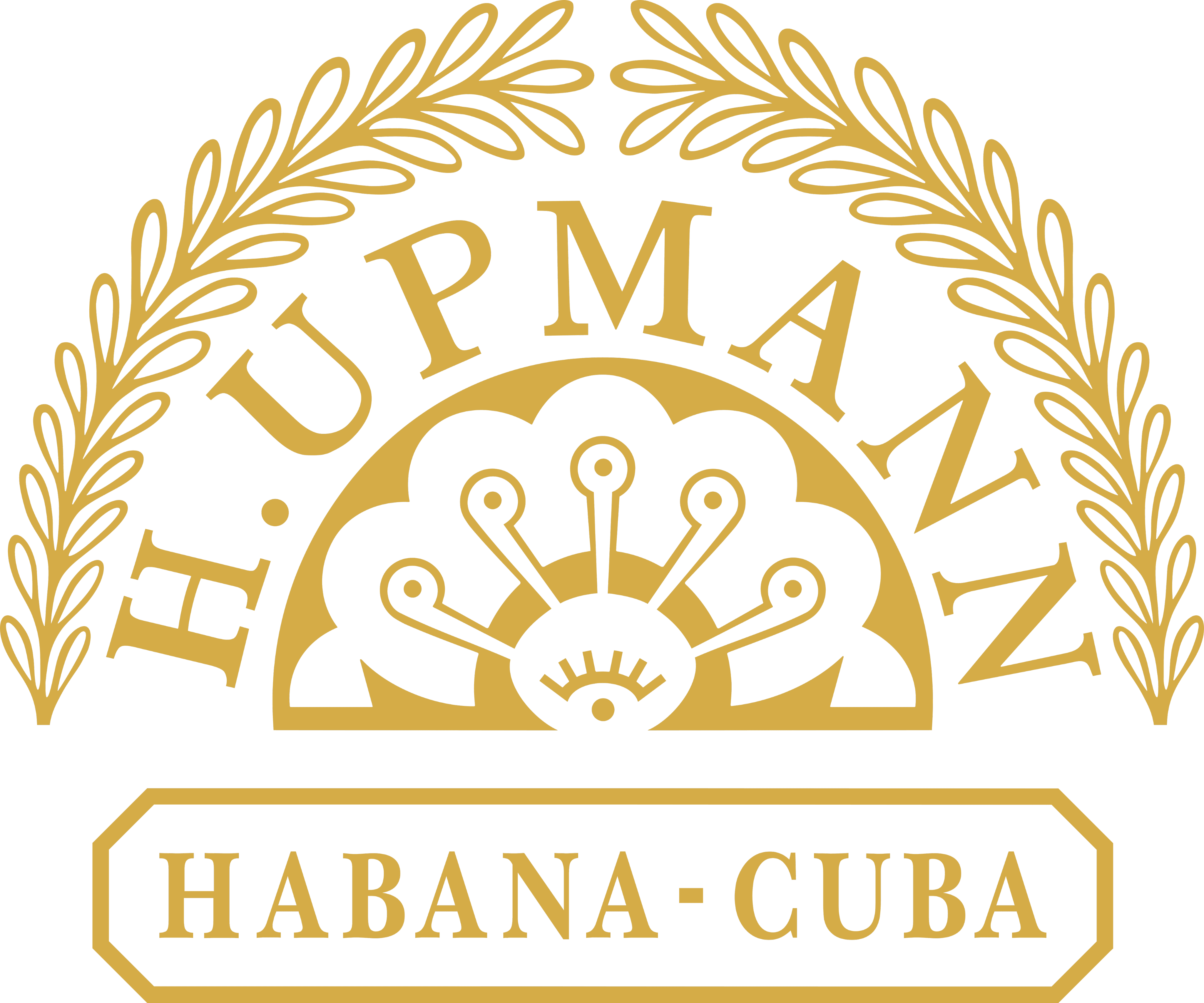 hupmann