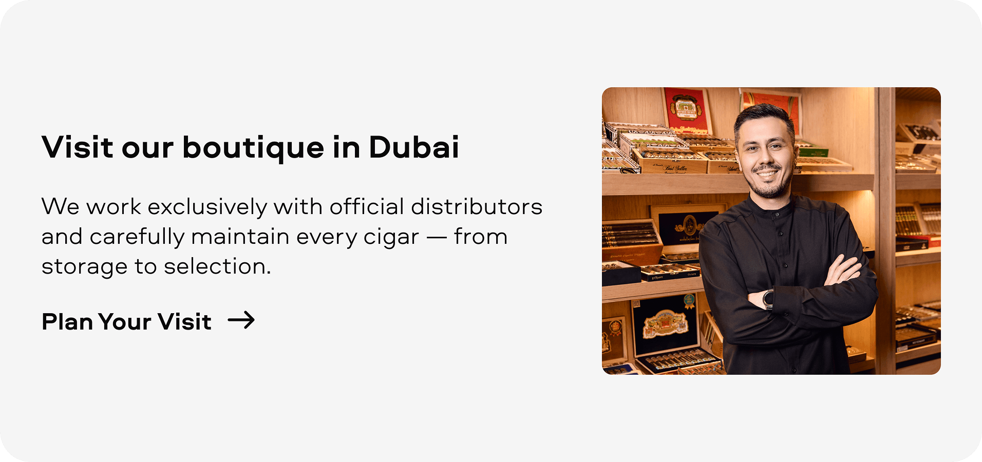 Discover the best cigars today!