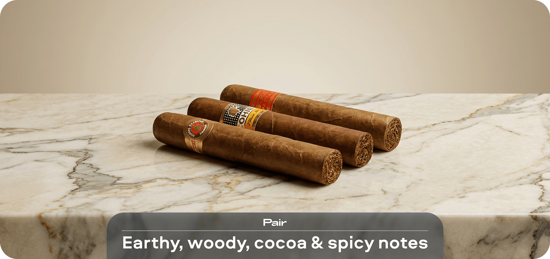 Earthy, woody, cocoa and spicy notes