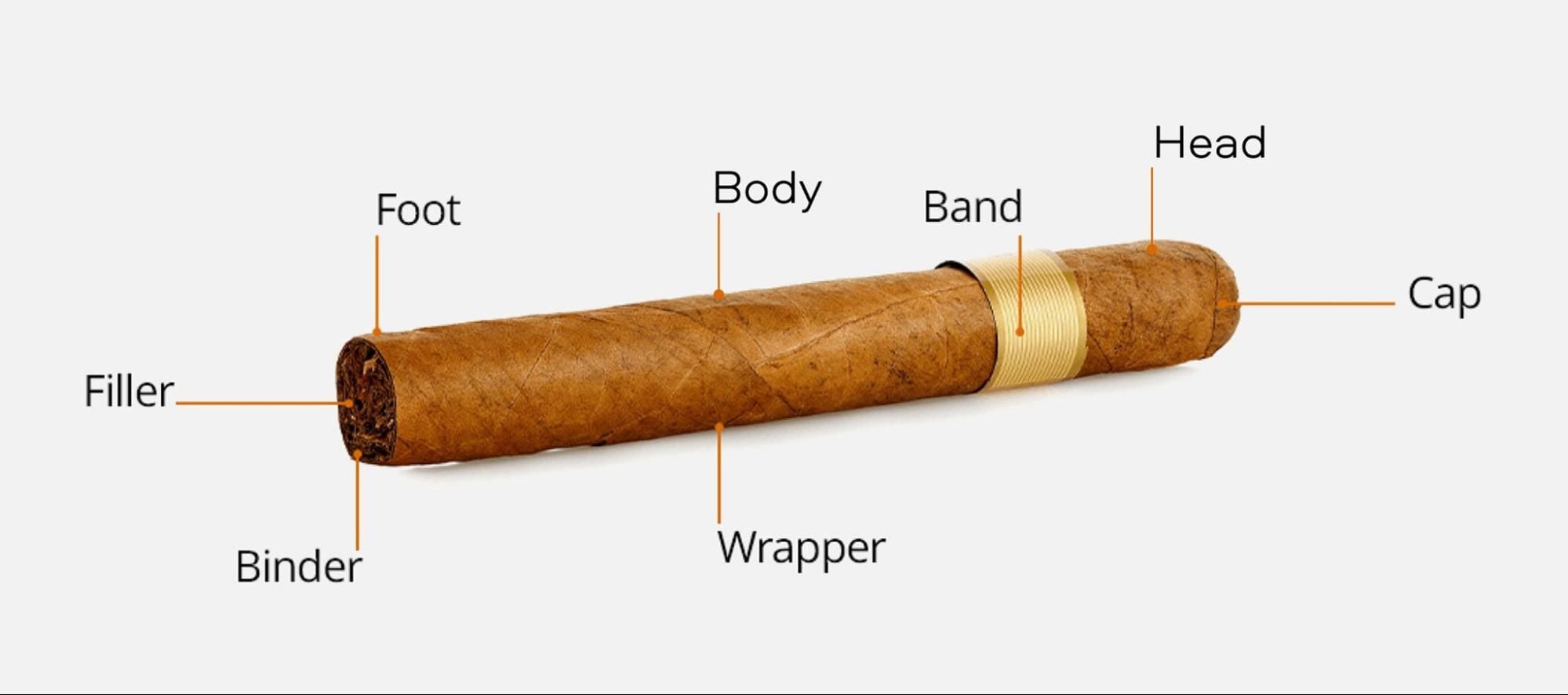 Wrapper (Capa) · Binder (Capote) · Filler (Tripa) — three layers, three roles