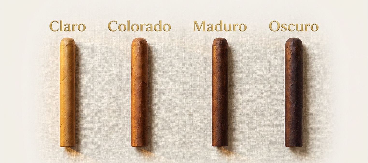 Claro | Colorado | Maduro | Oscuro — wrapper color influences flavor intensity